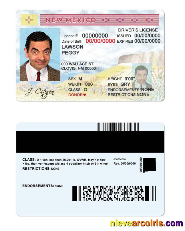 USA State New Mexico driving license